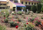 (a) missione Orissa -  la scuola   9b